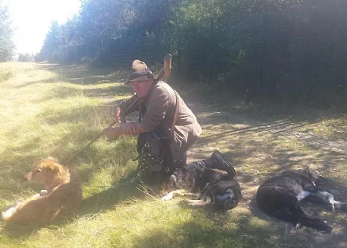 Hilleseeblick Appartement *