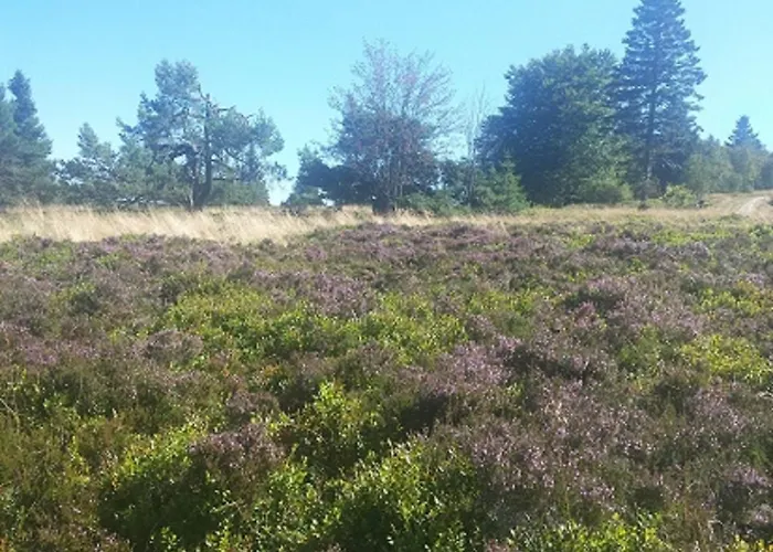 Hilleseeblick Appartement