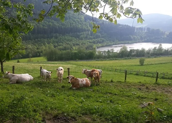 Hilleseeblick Appartement Winterberg
